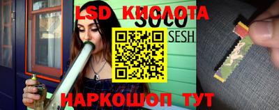 прущие грибы Усть-Джегута