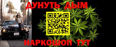 прущие грибы Усть-Джегута