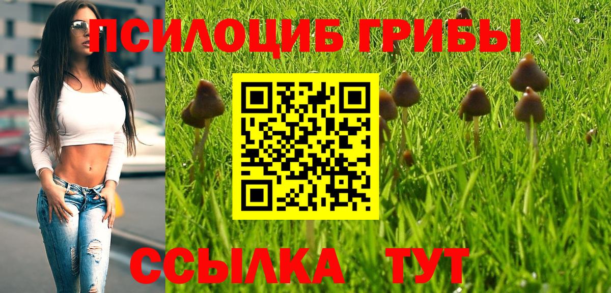 Псилоцибиновые грибы Cubensis Аргун