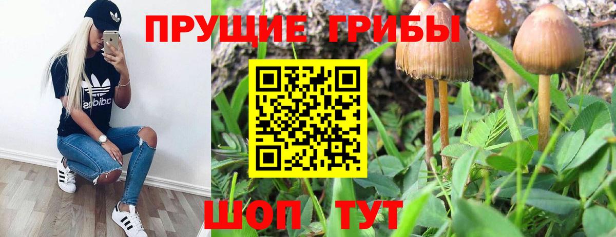 Аргун  Галлюциногенные грибы Magic Shrooms  Вход с VPN  Псилоцибиновые грибы MAGIC MUSHROOMS 